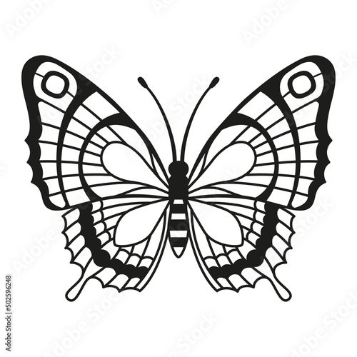 Vector silhouette elegant butterfly isolated on white background