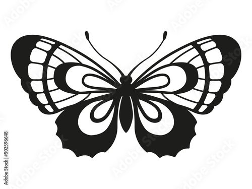 Vector silhouette elegant butterfly isolated on white background