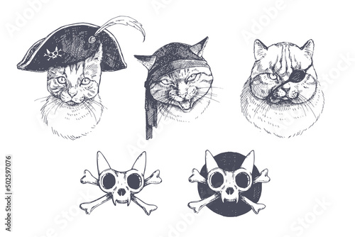 Vector vintage animal set with pirate accessories. Hand-drawn illustration with funny filibusters. Sea cats corsairs and Jolly Roger in the style of a sketch for design of print.