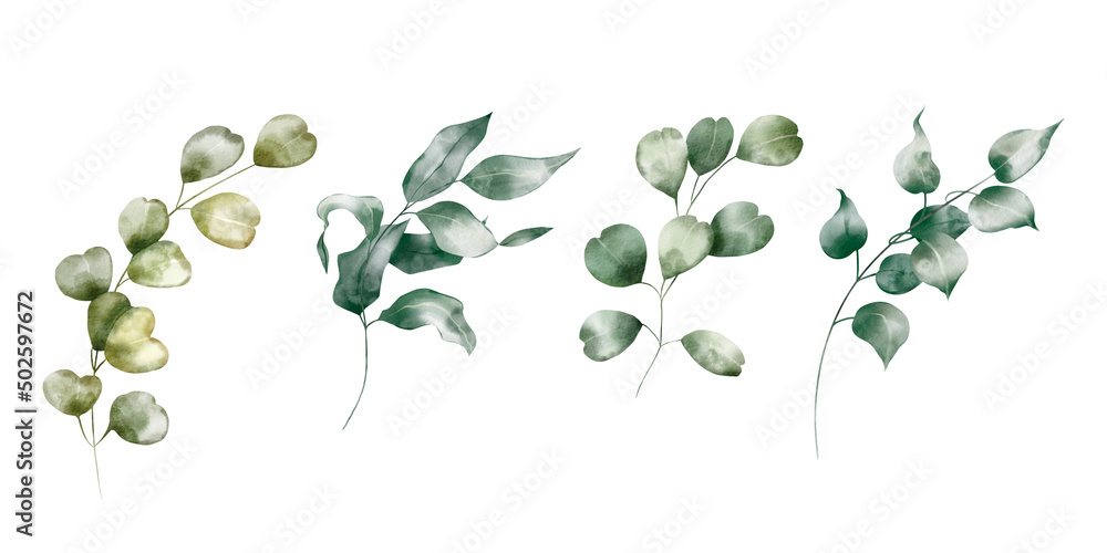Obraz premium Watercolor floral illustration set – Eucalyptus: green leaf branches collection, for wedding design, invitation, greetings, wallpapers, fashion, background. 