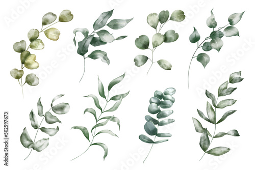 Watercolor floral illustration set     Eucalyptus  green leaf branches collection  for wedding design  invitation  greetings  wallpapers  fashion  background. 