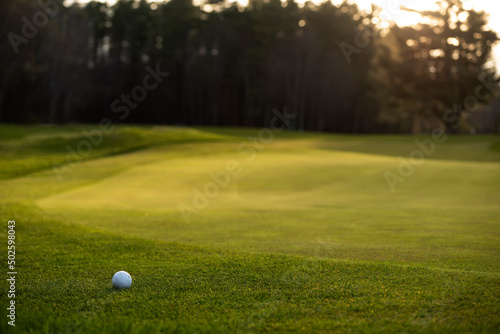 Golf ball on the green grass of a golf course in sunlight.