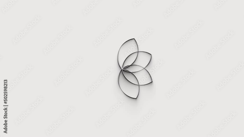 Loader loop animation of the flower. Preloader animation. Black and white. Motion design. Motion graphics. Loader loop animation of the flower. Preloader animation. Black and white. Motion design. Motion graphics.