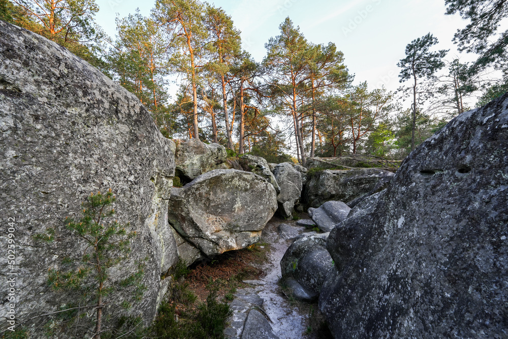 Sandstone boulders in the forest of Fontainebleau near Paris, France