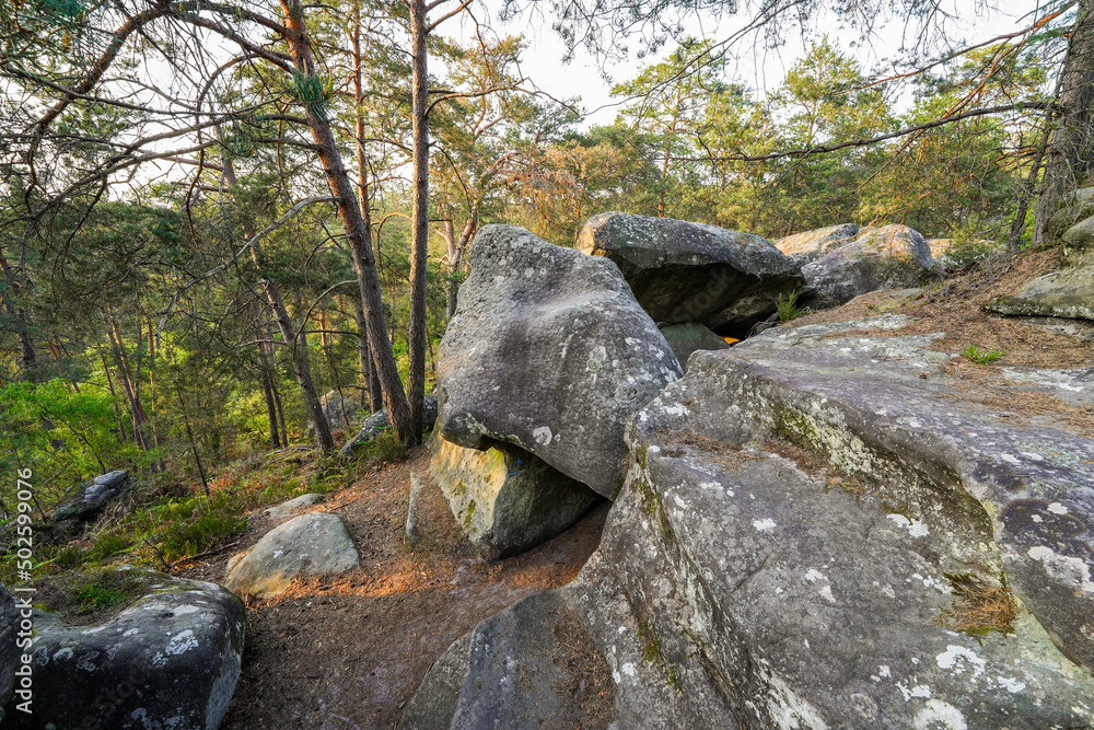 Sandstone boulders in the forest of Fontainebleau near Paris, France Sandstone boulders in the forest of Fontainebleau near Paris, France