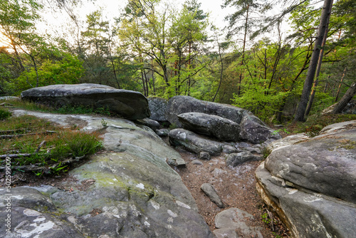 Sandstone boulders in the forest of Fontainebleau near Paris, France