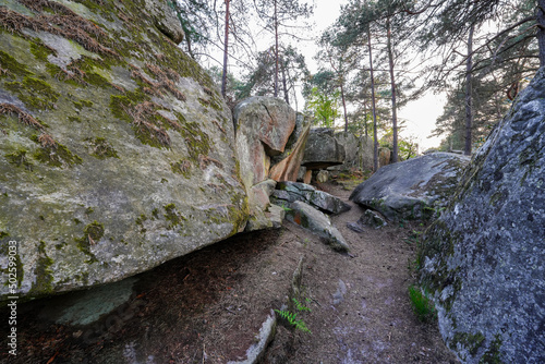 Sandstone boulders in the forest of Fontainebleau near Paris, France