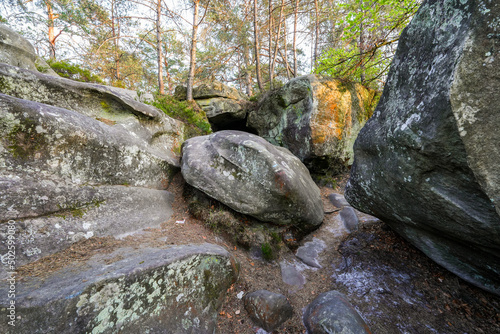 Sandstone boulders in the forest of Fontainebleau near Paris  France