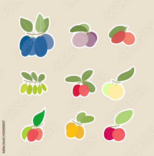Fototapeta Naklejka Na Ścianę i Meble -  fruit sticker isolated vector illustration set