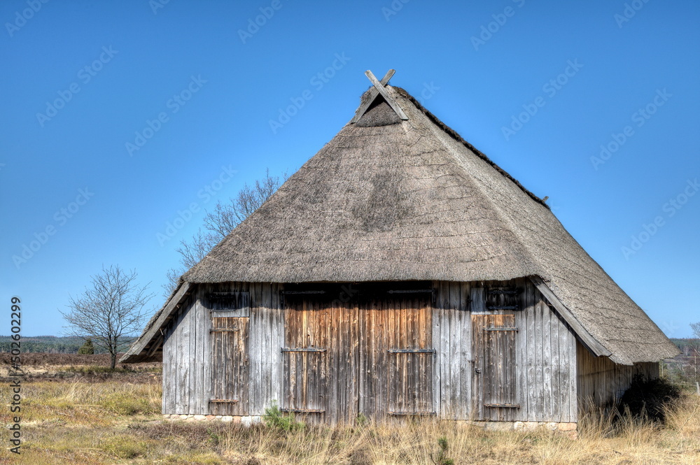 Typical thatched sheepfold in the nature reserve Lueneburg Heath which offers space for 350 sheep. Each flock of sheep has two of these stables, one near the village and one outside in the heath.. Typical thatched sheepfold in the nature reserve Lueneburg Heath which offers space for 350 sheep. Each flock of sheep has two of these stables, one near the village and one outside in the heath..