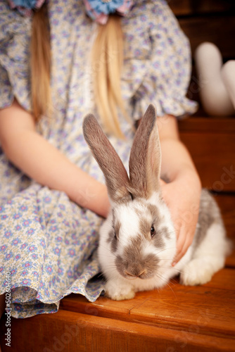 spotted rabbit sniffs white flowers