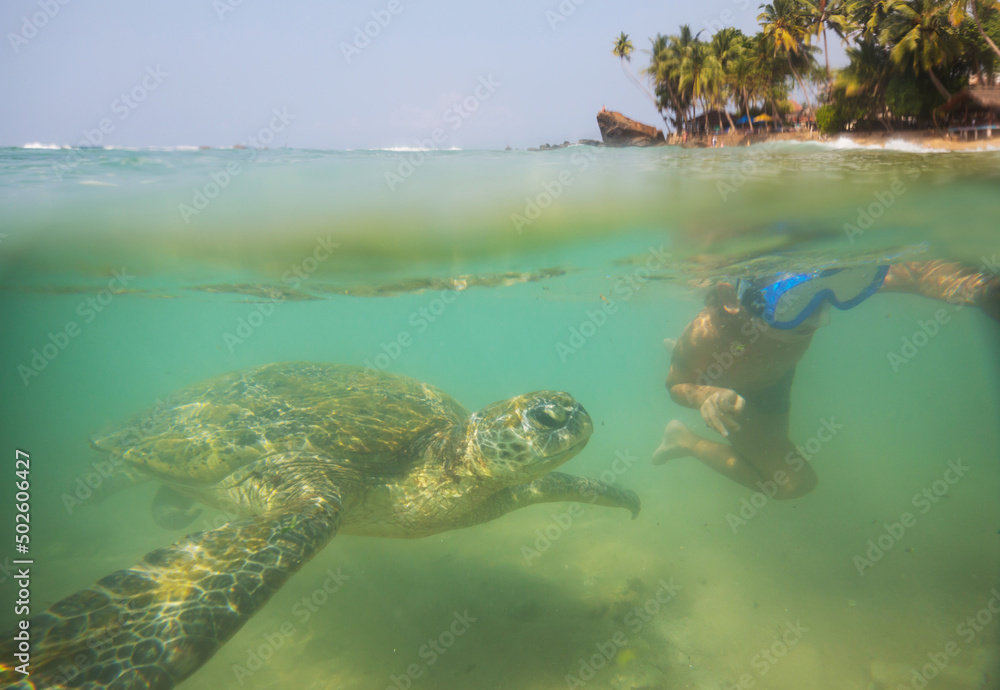 Obraz premium Turtle and boy