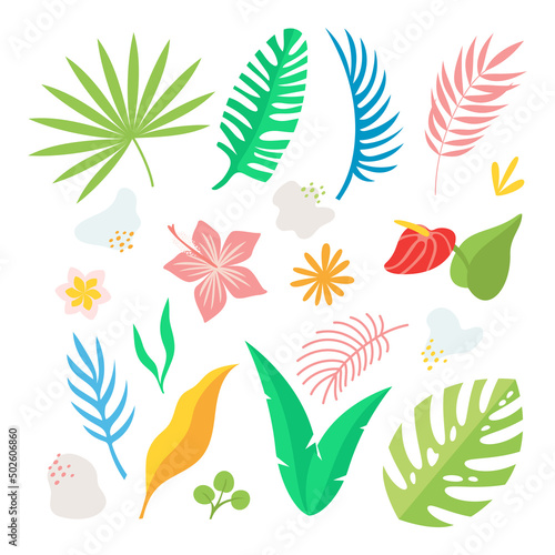 Vector set of tropical plants  leaves  flowers and miscellaneous elements. Flat style isolated illustration