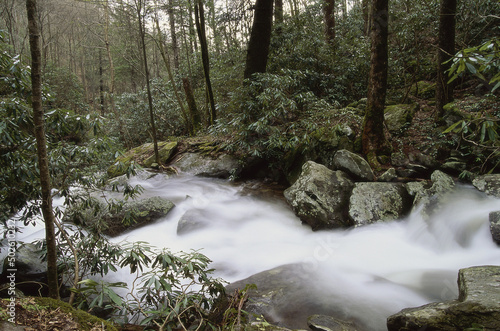 Stream flowing at the Great Smoky Mountains, Tennessee, USA photo