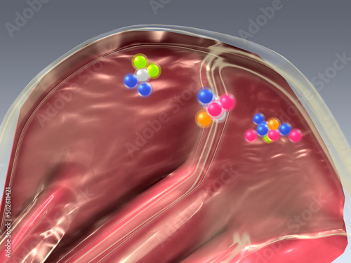 Odorant molecules make contact with nasal mucosa and olfactory region of nasal passage