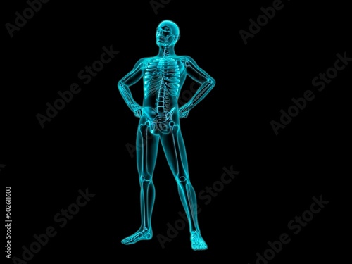 X-ray view of a human skeleton posing photo