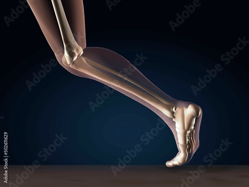 X-ray view of a human's leg in running position photo