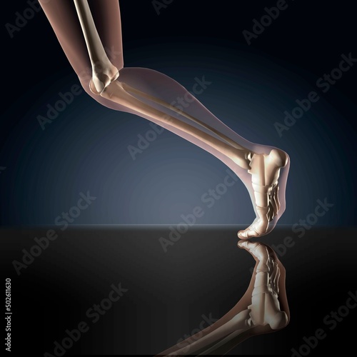 X-ray view of a human's leg in running position