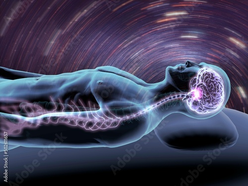 X-ray view of a man dreaming with view of brain and spinal cord