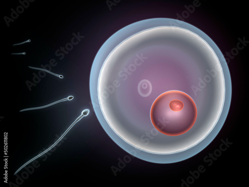 Rainbow colored sperm encircle egg cell