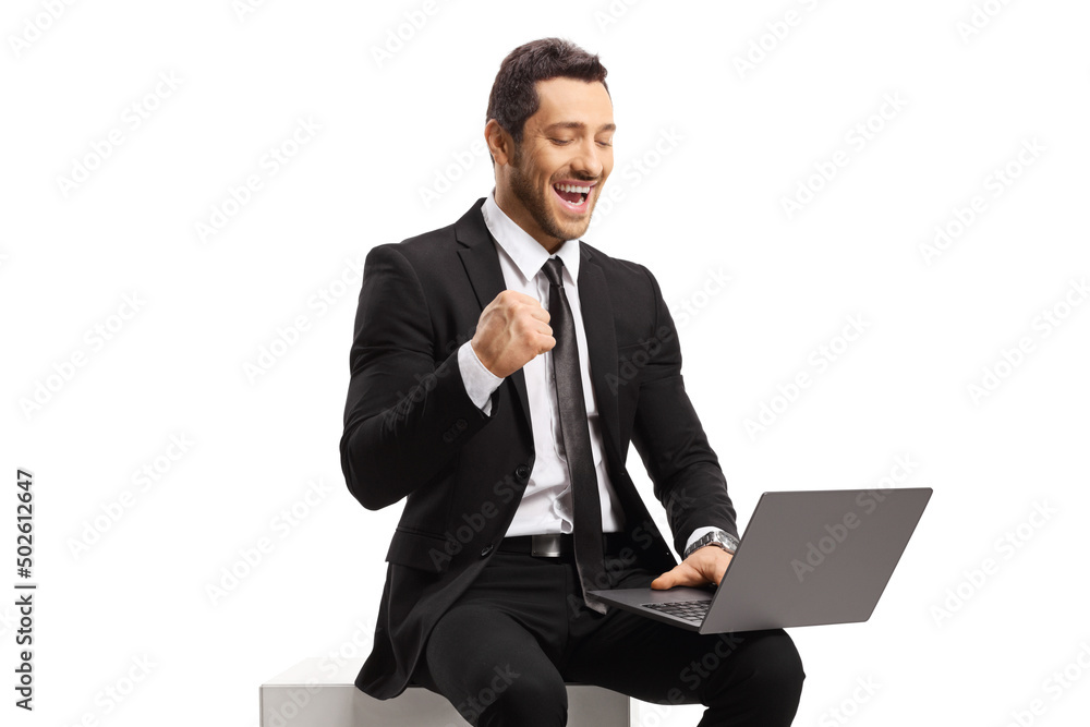 Businessman sitting and using a laptop computer and gesturing happiness Businessman sitting and using a laptop computer and gesturing happiness