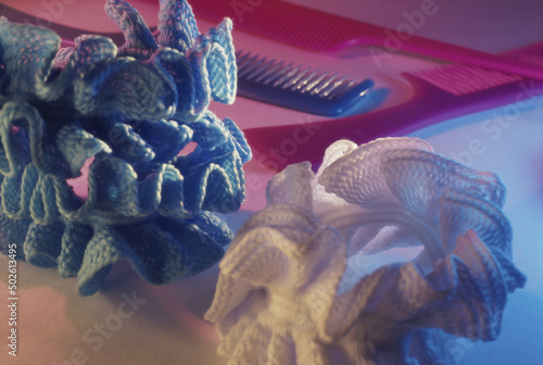 Close-up of two hair bands