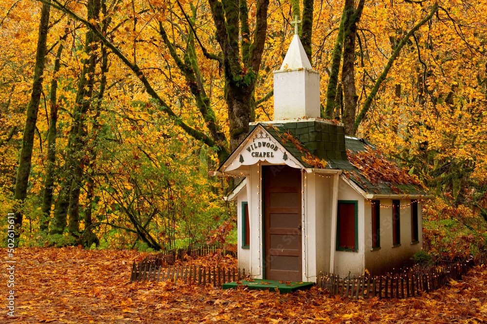Facade of a chapel in a forest Facade of a chapel in a forest