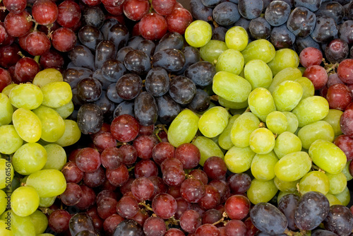 Close-up of bunches of assorted grapes photo