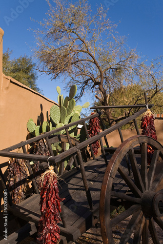 Chili ristras hanging on a cart, Tubac, Arizona, USA photo