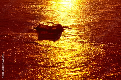 sonnenuntergang am schwarzl see bei graz, das wasser wirkt golden, in der mitte ist ein stein, goldnugget photo