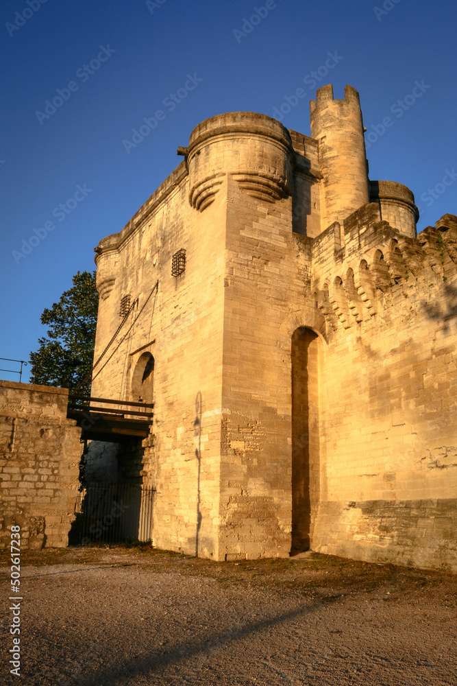 The gatehouse on the Pont Saint-Bénézet, a medieval bridge in the city of Avignon, France.
