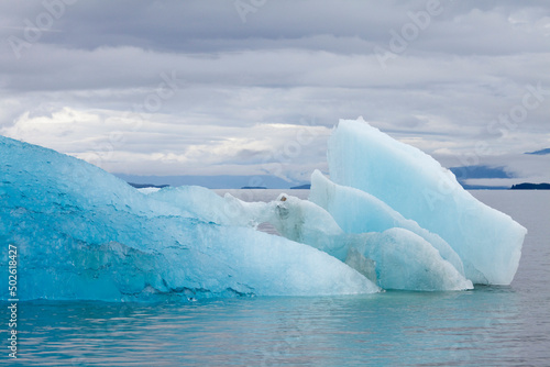 Icebergs, Endicott Arm, Alaska, USA photo