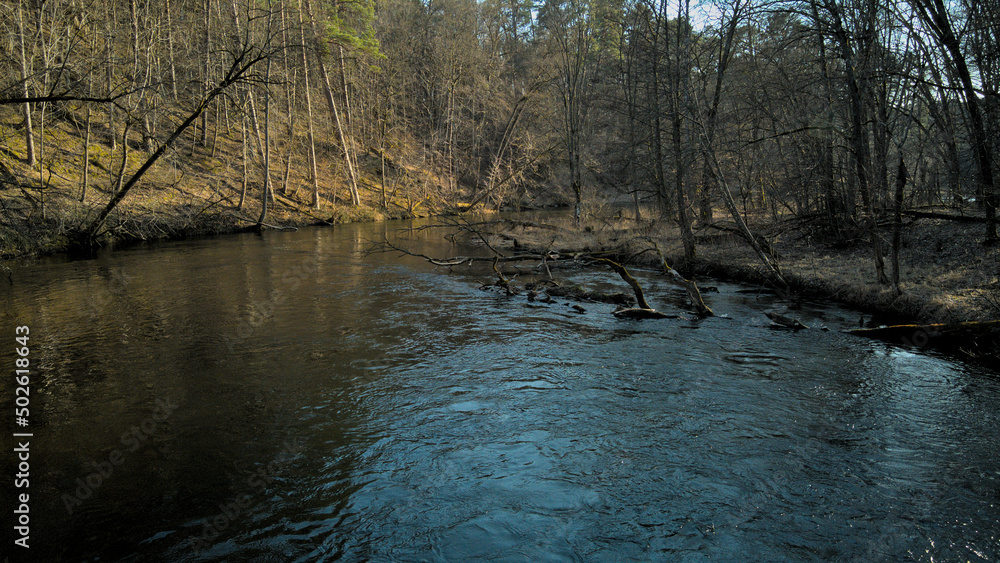 Strumień rzeki w środku lasu, wczesno wiosenne widoki - obrazy, fototapety, plakaty 