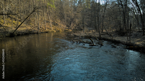 Strumień rzeki w środku lasu, wczesno wiosenne widoki