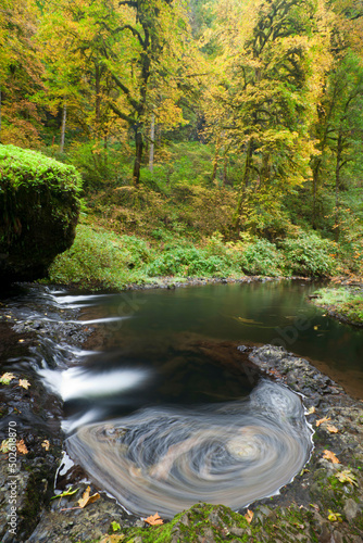 USA, Oregon, Silverfalls State Park photo