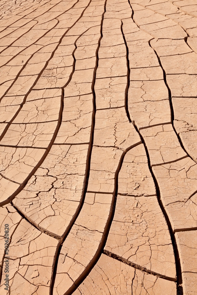 USA, Arizona, Painted Rocks Petroglyph Site, near Gila Bend, Dried up ...