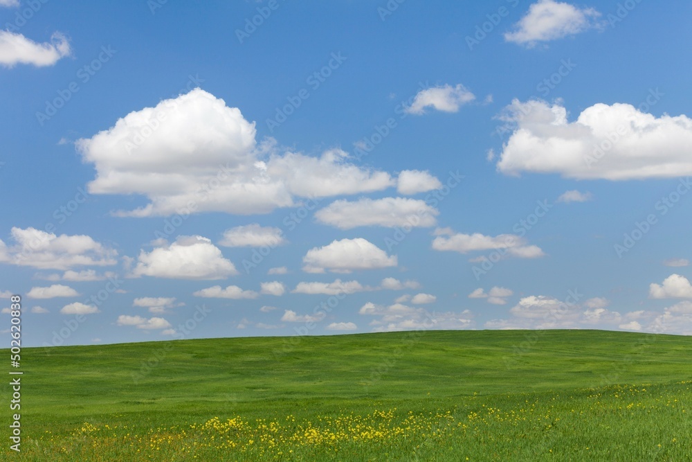 USA, California, Landscape with Fields near Bakersfield USA, California, Landscape with Fields near Bakersfield