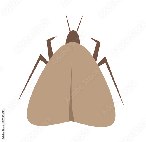 Caddisfly flat icon on white transparent background. You can be used caddisfly icon for several purposes photo