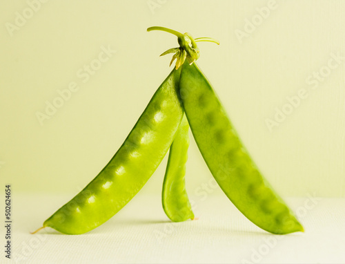 Three green snowpeas standing up on a light green background