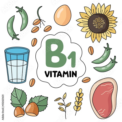 Vitamin B 1 products. Food sources. Flat vector illustration. Fruits and vegetables. Healthy Eating. Diet