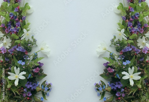 Wallpaper Mural A bouquet of spring forest flowers on a white background. Flower arrangement for a greeting card. Torontodigital.ca