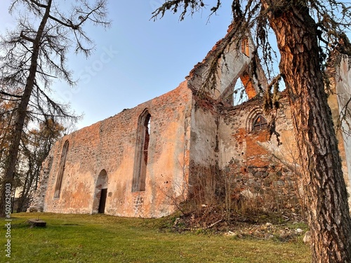beauty of ruins 