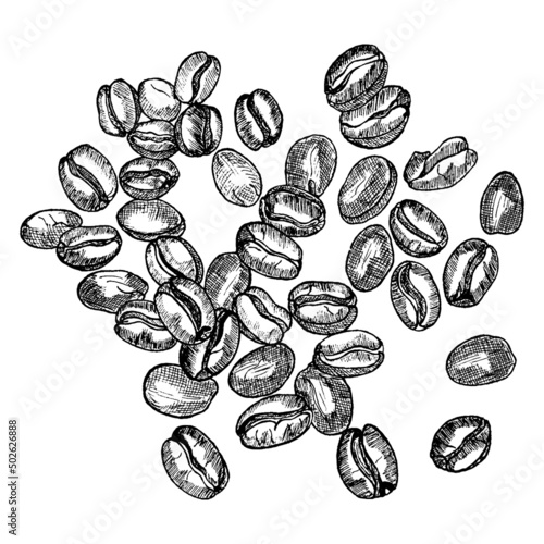 Handmade sketch, natural coffee beans.