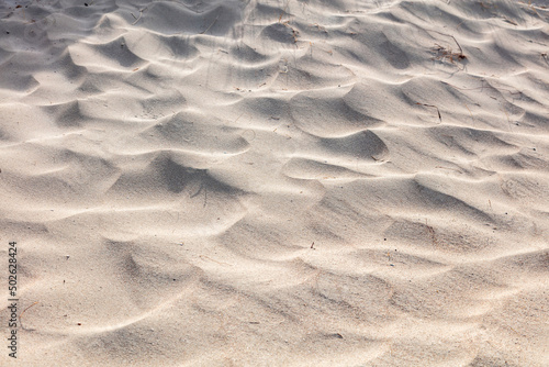 Sand background texture, close up view. Sandy beach, summer vacation