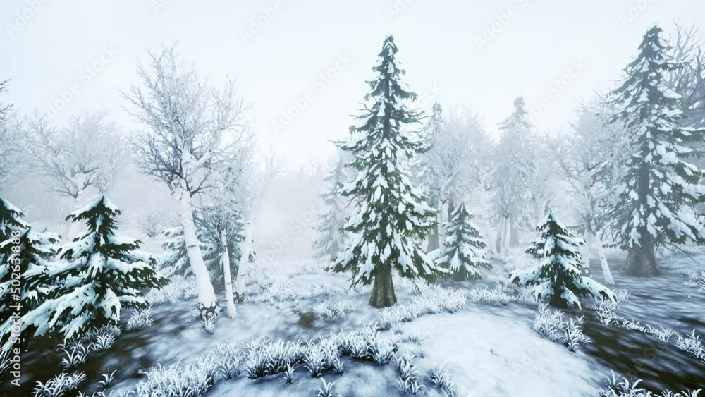 winter storm in a forest in winter winter storm in a forest in winter