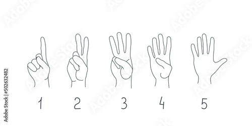 Vector hands isolated on white background