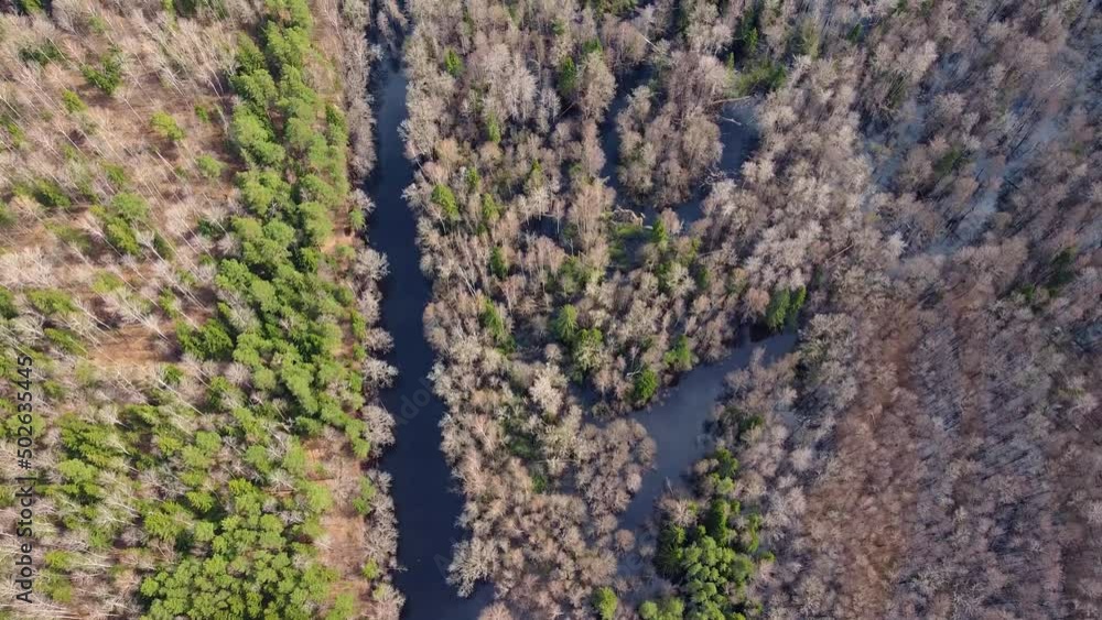 Aerial view of the river between the pines. Flying over a winding riverbed surrounded by green treetops. Epic panoramic shot. Spring flood of water. Kayaking trip Aerial view of the river between the pines. Flying over a winding riverbed surrounded by green treetops. Epic panoramic shot. Spring flood of water. Kayaking trip
