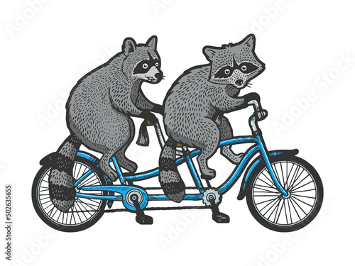 raccoons ride tandem bike color sketch engraving vector illustration. T-shirt apparel print design. Scratch board imitation. Black and white hand drawn image.