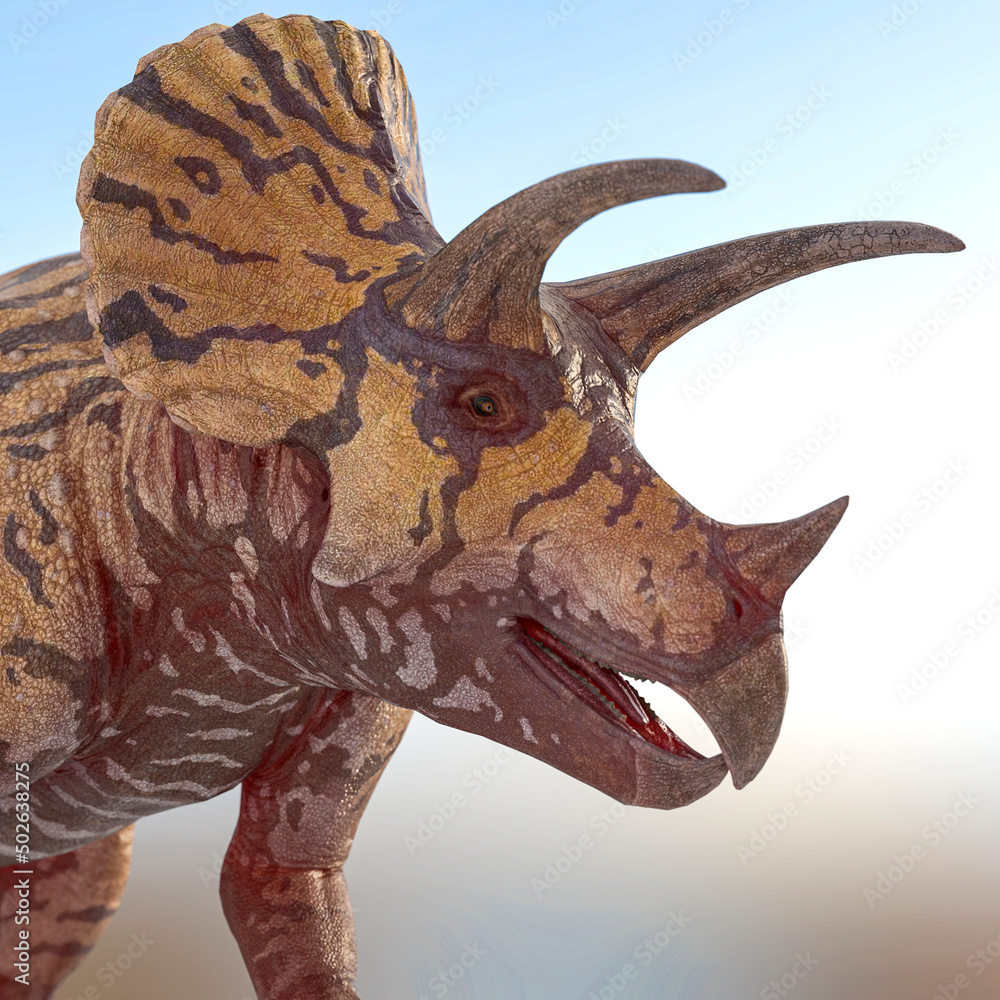 Obraz premium triceratops is happy and smiling on snow background