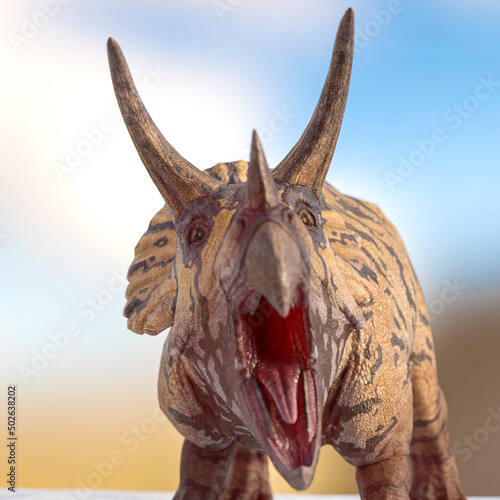 triceratops is angry on snow background close up view